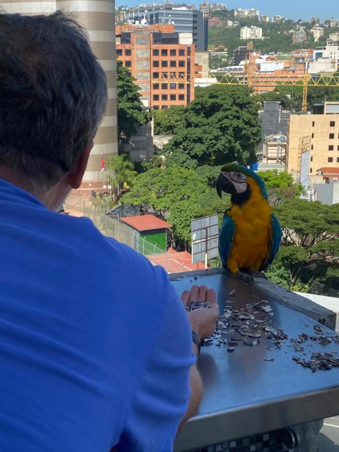 Ololo Caracas B&B Екстериор снимка
